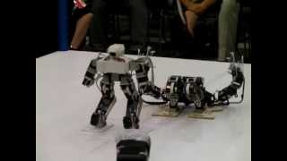 Robot ProWrestling Dekinnoka13 Saaga vs Waroo [upl. by Liuka643]