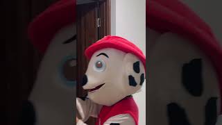 PAW PAtrol with new Siren Head game over shorts funny pawpatrol [upl. by Minta]