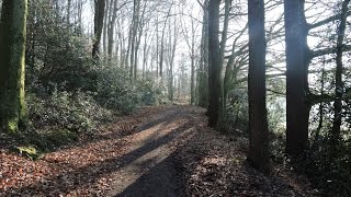 Vorfrühling in der Elfringhauser Schweiz [upl. by Aicak]