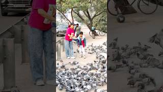 Anant ne 🕊️pigeon ko daane khilaye🤗 [upl. by Inaffit]