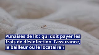 Punaises de lit  qui doit payer les frais de désinfection [upl. by Nuris]