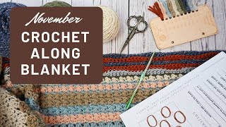 November TEMPERATURE BLANKET Stitch of the Month Undulating Wave Stitch [upl. by Ahtennek]