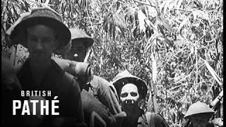 With The Australians In New Guinea 1943 [upl. by Ydneh]