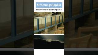 Strömungsrippeln Entstehung Bedeutung [upl. by Punke949]