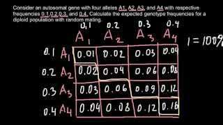 How to calculate frequencies of multiply alleles in a gene pool [upl. by Angel]