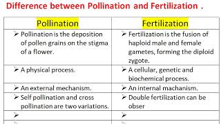 Difference Between Pollination and Fertilization [upl. by Alitha]