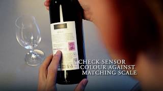 How to Chill Your Wine to the Perfect Drinking Temperature  Frozen Grapes Hack [upl. by Haimirej]