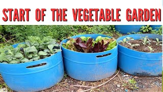 My Container Vegetable Garden [upl. by Bobette550]