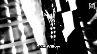 TNA Willow Custom Titantron Theme Song 2014 [upl. by Anahpets]