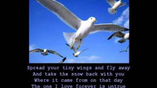 Anne Murray  Snowbird with lyrics [upl. by Venu551]