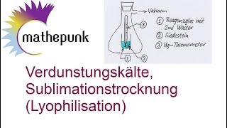 Verdunstungskälte Sublimationstrocknung Lyophilisation Experiment [upl. by Amoreta]