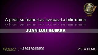 A pedir su mano  Las avispas La bilirrubina  Juan Luis Guerra  Karaoke pista orquestada [upl. by Tove]