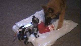 AIBO attacked by a dog [upl. by Leslee]