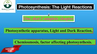 Photosynthesis in higher Plants  Complete in one shot  Neet 2025 [upl. by Alyehs98]