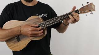 Lanikai ASCTB SolidTop Acacia Baritone Ukulele  The Ukebug [upl. by Tiena]