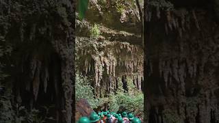 CAVE ADVENTURE  cavernas de camuy 🇵🇷 Puerto Rico shorts travel adventure [upl. by Wohlert]