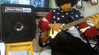 Hartke HD25 Bass Combo Amplifier [upl. by Neitsirhc]