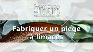 Fabriquer un piège à Limaces  Vidéo soin pour le jardin [upl. by Akinahc648]