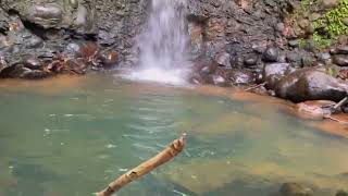 Let’s discover Cascade Rioux Waterfall La Flora Mauritius [upl. by Nitsuj]