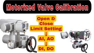 Rotork Motorized valve Calibration  Rotork MOV [upl. by Gabbert]