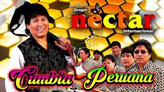 Ojitos Hechiceros  Grupo Néctar  REMIX LIMPIO  Dj Mayck Solarte [upl. by Sotsirhc]