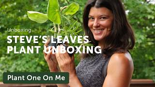 Houseplant Unboxing with STEVES LEAVES — Ep 387 [upl. by Geithner]