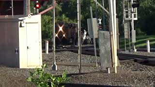 BNSF 7366 CN S771 at Ladysmith on 9422 [upl. by Nyleda361]