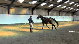 William Funnell  Longreining a young horse  HorseandRider UK [upl. by Margherita]