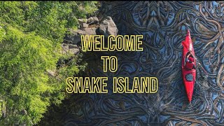 Snake Island Brazil A Deadly Destination Like No Other  Ilha de Queimada Grande [upl. by Schoenburg1]