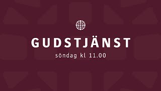 Gudstjänst 10 november – Predikan Lovisa Almén [upl. by Assylla535]