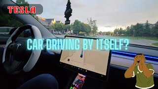 Tesla Full Self Drive Mode  Is it worth it [upl. by Lihp262]