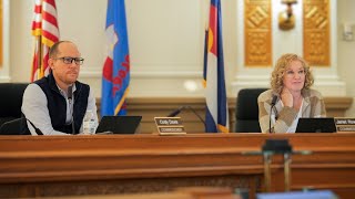 Commissioners give update on Denver immigration challenges [upl. by Arutek788]