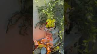 Tulasi pooja tulasi pooja tulasi viralvideo [upl. by Ennaeiluj955]