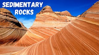 Three types of Sedimentary Rocks [upl. by Enasus]