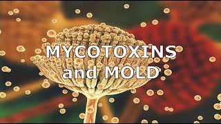 Mycotoxins and Mold [upl. by Arhas]