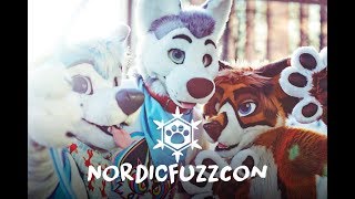 NordicFuzzCon 2018 [upl. by Mhoj366]