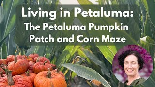 Living in Petaluma CA  The Petaluma Pumpkin Patch [upl. by Ycnahc939]