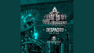 Despacito En vivo [upl. by Baugh232]