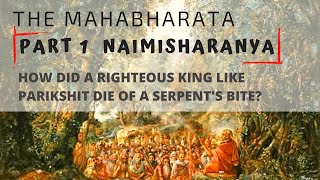 Mahabharata  Part 1  Naimisharanya and Death of King Parikshit  Illustrated AudioBook in English [upl. by Sillaw]