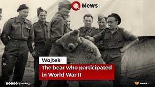 Wojtek The bear who participated in World War II [upl. by Arnaldo]