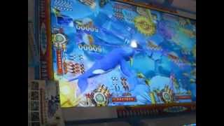 Chinese Fishing Arcade Game [upl. by Lune]