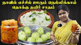 Nellikaai Thokku Recipe in Tamil  Curd rice  Thairu saadham  நெல்லிக்காய் தொக்கு [upl. by Ecinert]