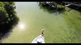 CRYSTAL Clear Water Sheepshead Fishing w HandCaught Crabs [upl. by Nickolai]