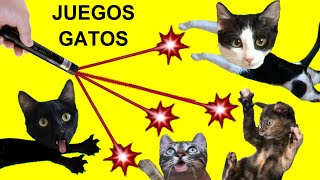 Juegos para gatos con Luna y Estrella y los gatitos en la casa  Videos de animales graciosos [upl. by Ialda]