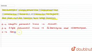 Select the examples of a Complex permanent tissue b Simple permanent tissue c connnecti [upl. by Acim396]