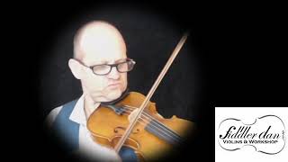 Alois Sandner Violin review [upl. by Higginson]