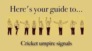 Cricket umpire signals explained [upl. by Adriaens]