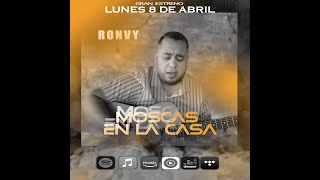 SHAKIRA  MOSCAS EN LA CASA Cover por ronvy [upl. by Eselehs592]