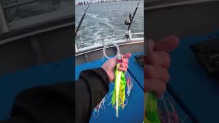 Skirts for Bluefin Tuna fishing tuna bluefintuna trolling shorts fishingequipment lures [upl. by Duarte]