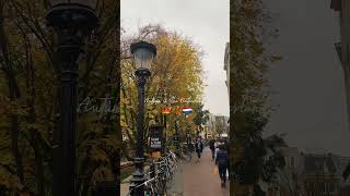 Beauty of autumn in The Netherlands 🤌🏻❤️ autumn netherlands fall winter utrecht amsterdam [upl. by Gard]